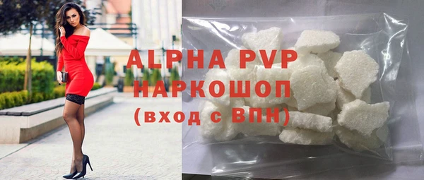 apvp Вяземский