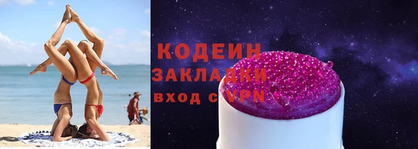 apvp Вяземский