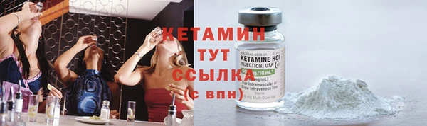 apvp Вяземский