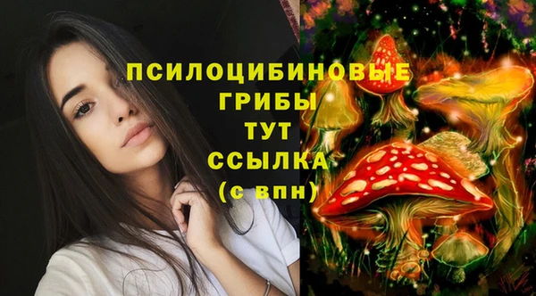 apvp Вяземский