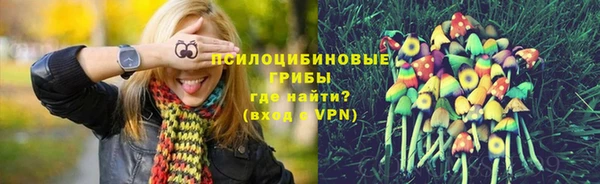 твердый Вязники