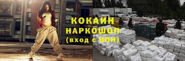 apvp Вяземский